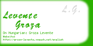 levente groza business card